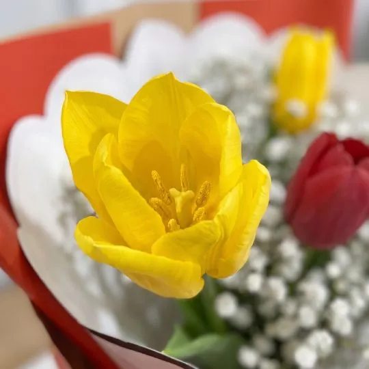 Ramo de 3 tulipanes con papel coreano 